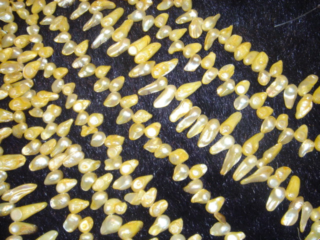 Seed Pearl