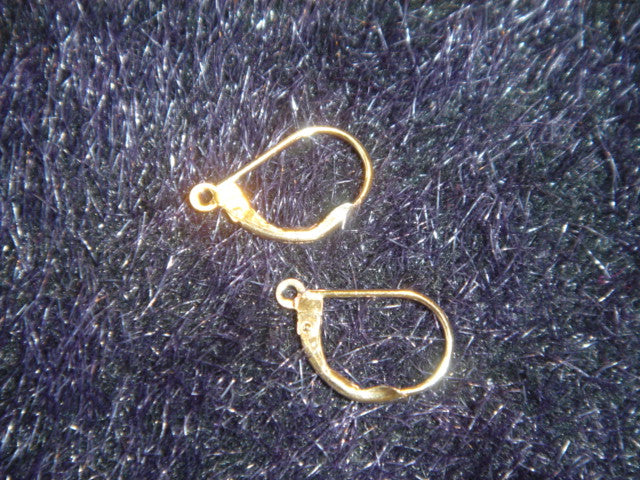 14K Gold Filled Lever Back Earrings
